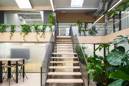 Bright Madrid coworking space with greenery