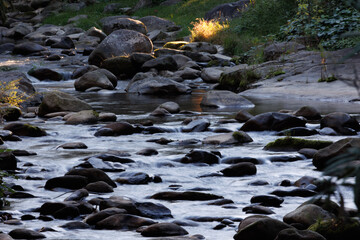 Fototapeta premium stream in the mountains