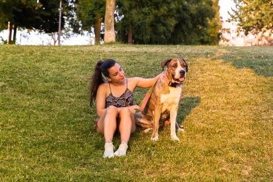 American Stanford dog and her young woman owner bonding in grass park at sunset.