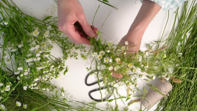 Floristic master class on weaving flower wreath for feast of Ivan Kupala.Woman weaves wreath of fresh field herbs and flowers,pagan symbol,solstice day.Rustic style.Wreath of daisies and herbs,summer