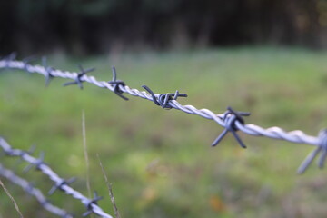 barbed wire fence