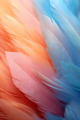 Fototapeta na wymiar A gentle feather texture background