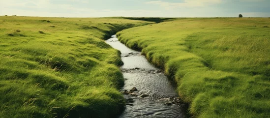 Foto auf Acrylglas Pistache Meadow with a drainage channel