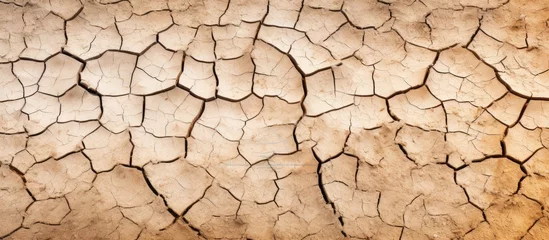 Foto op Plexiglas Land becoming desert cracked soil texture arid erosion © 2rogan
