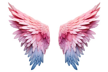 pink wings on a transparent background. png file