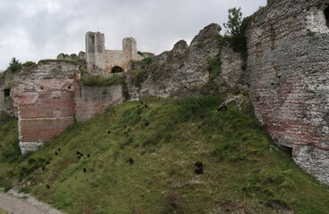 Fototapeta na wymiar ruins of the castle on the hill