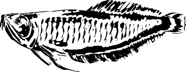 アロワナの墨絵和風イラスト