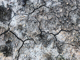 cracked earth texture