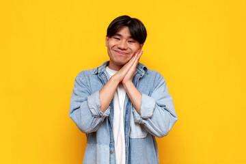 touched young asian guy in denim shirt shows emotion of tenderness and embarrassment on yellow background - obrazy, fototapety, plakaty