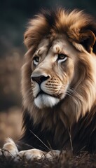 Fototapeta premium lion wallpaper, realism, mist, realistic, wimmelbilder, ivory, dynamic pose