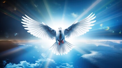 Illustration of White Dove Symbolizing Peace