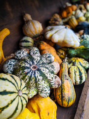 A nice big pile of orange pumpkins