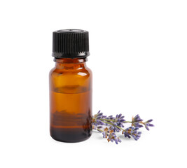 Bottle of essential oil and lavender flowers on white background