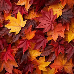 Naklejka na ściany i meble Maple leaves of autumn colors, reddish and copper
