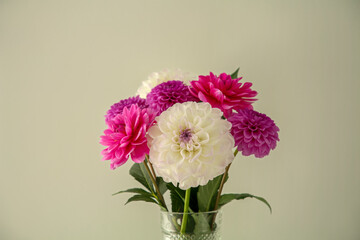 Bouquet of beautiful Dahlia flowers near white wall