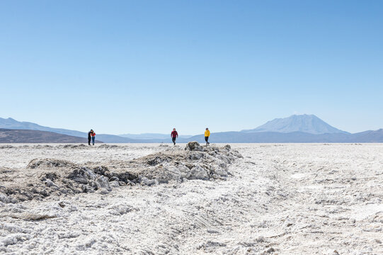 reserva de salinas Arequipa