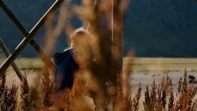 Filmmaker In Blue Hoodie Amidst Curly Dock
