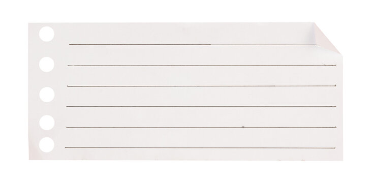 lined binder paper isolated - Powered by Adobe