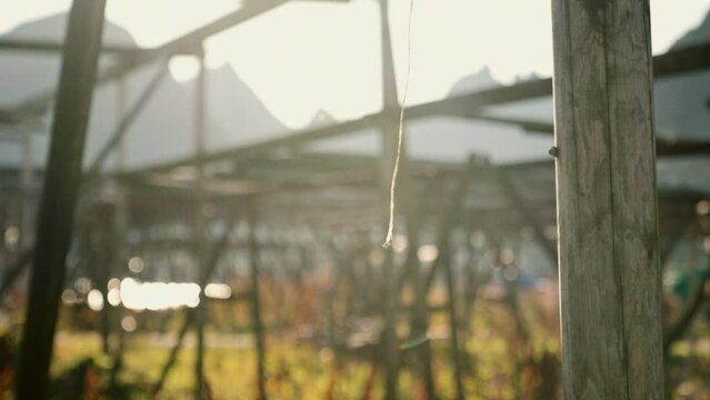Swaying String Attached To A Stockfish Rack