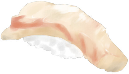 Flatfish sushi illustration