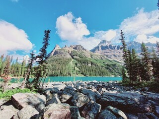 Rocky Mountains, Opabin Prospect, Lake OHara, Yoho