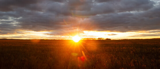 Sunset with bright orange rays and cloudy sky over the field.