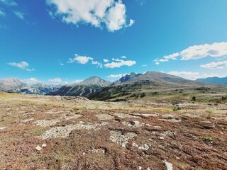 Twin Cairns Meadows, Banff, Rocky Mountains