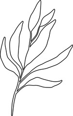 flower leaf branch outline