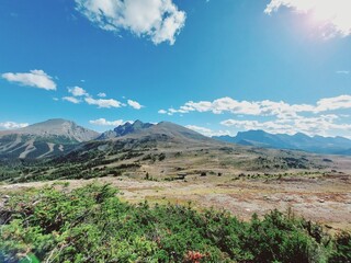 Twin Cairns Meadows, Banff, Rocky Mountains