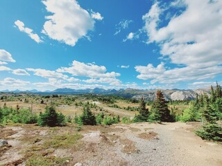 Twin Cairns Meadows, Banff, Rocky Mountains