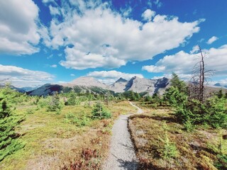 Twin Cairns Meadows, Banff, Rocky Mountains