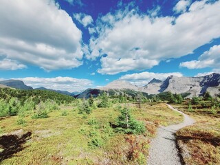 Twin Cairns Meadows, Banff, Rocky Mountains
