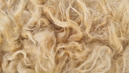 hair of a fur