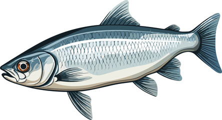 Obraz premium Cute herring