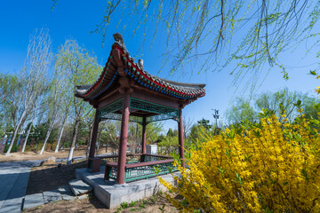 Fototapeta premium Ancient Chinese buildings in spring，jiangnan pavilions