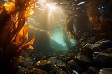 Foto op Aluminium Breathtaking underwater kelp forest teeming with brown seaweed. Generative AI © Jora