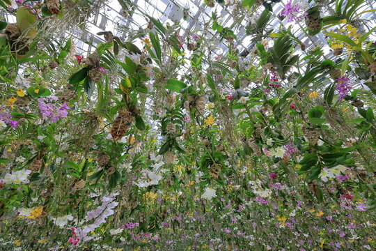  Exhibition room at teamLab Planets by art collective teamLab in Tokyo, Japan