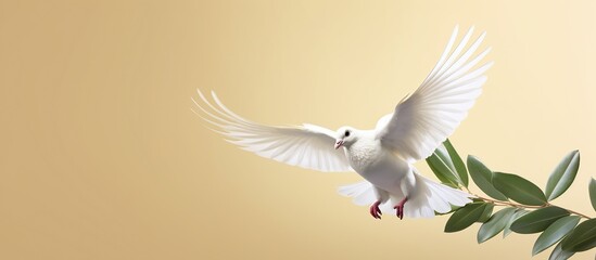 White dove flying with olive branch in its beak - obrazy, fototapety, plakaty
