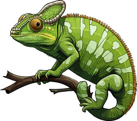 Cute chameleon