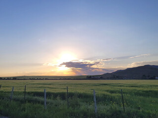 sunset over the field