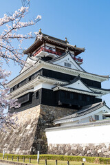 Fototapeta premium 春の清洲城