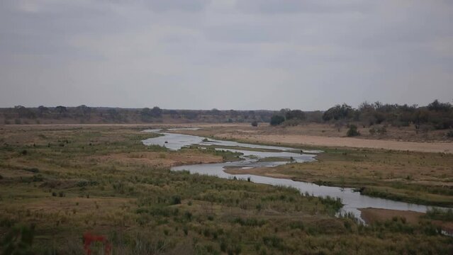 In a vast expanse of the African bush, a river winds its way, shimmering under the sun. This sweeping wide shot captures its meandering path, the lifeline of the wilderness and its many inhabitants