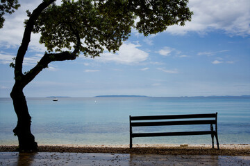 Fototapeta na wymiar Baum und Bank als Silhouette vor turkisfarbenem Mittelmeer am Strand von Dugi Otok, Kroatien