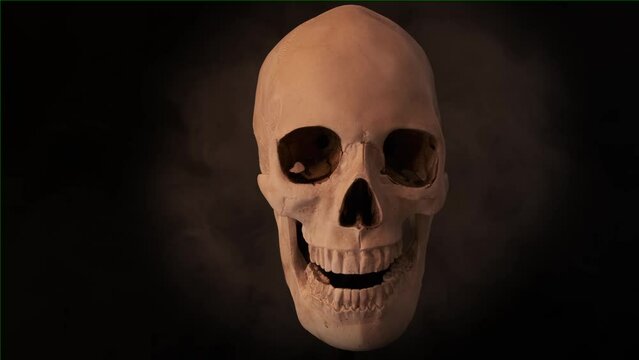 Old human skull rotates on black isolated studio background. Skull from different angles, close up.