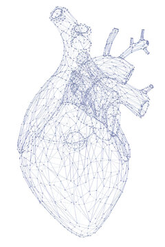 3d human’s heart illustration rendered in a chemical molecule design.	PNG