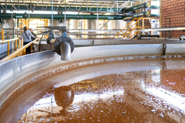 Los jugos del agave se están fermentando en las tinas de la fabrica.