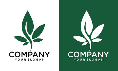 Cannabis leaf logo design and symbol vector. Medical marijuana Vector illustration.