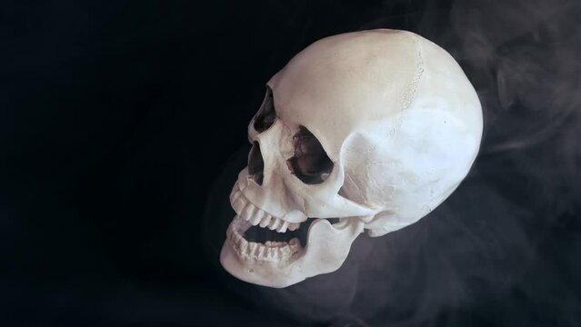 Hyper realistic model of human white skull slowly rotates in fog on black surface dark background. Figurine of human skeleton head skull. Halloween party.  