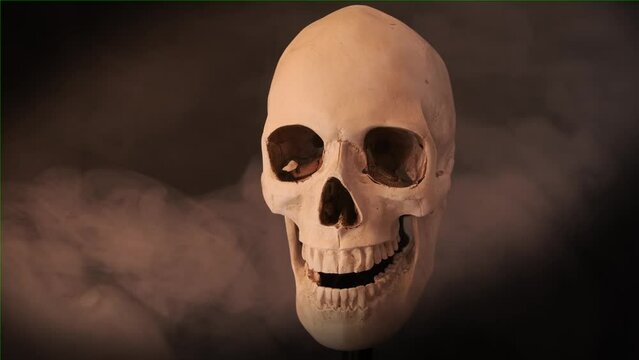 Human skull rotates on black foggy background. Dramatic shot close up. Happy Halloween day party invitation decoration. 