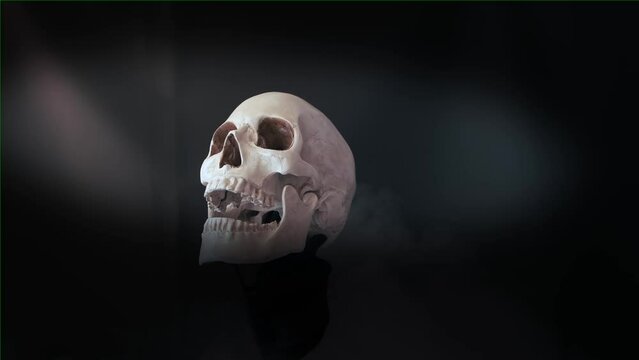 Rotation of human skull in smoke moon light approaching close up on isolated black background. Artificial life size human skull. Halloween creepy scene. 